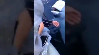 😱😱drops# phone in  underwater #brings it back in# dolphin😱😱