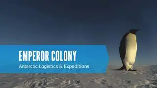 Emperor Penguin Colony