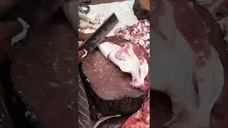 Popular Beef Cutting Shop | Amazing Cow Meat Cutting Video - Skilled Butcher Cutting Beef with Knife