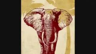 Gepy & Gepy - African Love Song
