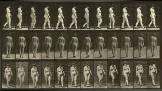 Animal Locomotion: Plates #21-30 (1884-1887) by Eadweard Muybridge