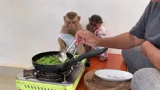 Frying veggies with Mama #monkeybryan #icylove