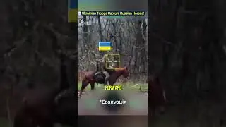 Ukraińskie wojska zdobywają rosyjskie konie bojowe!