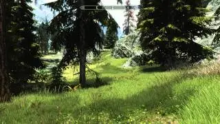 Skyrim - RealVision ENB Demonstration (Option B)