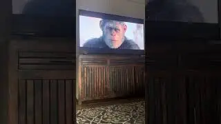 War for the Planet of the Apes Caesar&rsquo;s Death scene