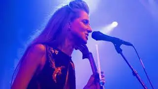 Yellofox (live) Seasons - @ Paard Den Haag