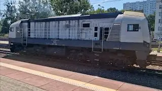 Newag 311D-001 na stacji kolejowej Gdynia Gł&oacute;wna
