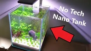 How to: Betta Fish Tank, No tech No Filter No Ferts No co2