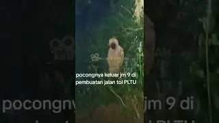 UDA GA KAGET KALO ADA INI DI PLTU PAITON💀 #viral #shorts #jin #ghost #pocong #penampakan #hantu