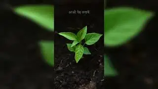 world environment day 2023 । 5 june status। environment day status 2023 #environment #environmentday