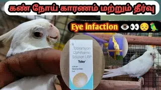கண் நோய் காரணம் மற்றும் தீர்வு || Eye Infaction medicine Cure Method #cocktail #eyeinfaction
