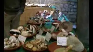 La mostra dei funghi primaverili a Castelnuovo