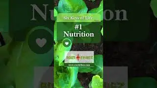 Nutrition - Key of Life