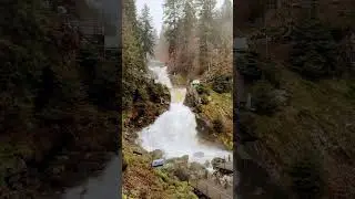 Must see Germany Triberger Waterfall after havy rain 🇩🇪 #triberg #wasserfall  #iphone15promax