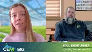 How to Get Started in Hydroponics