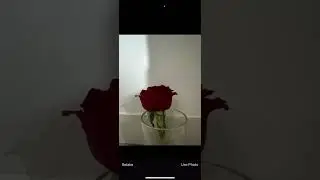 Leaf Lens: AI Plant Disease Diagnosis.