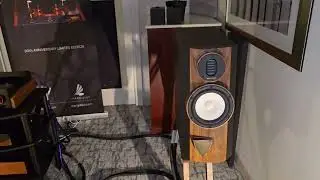 HiFi Excellence из Мексики — Маргулес — Capital Audio Fest 2025