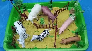 Mini Animal Farm with Toy Animals 🐷🐴🦓 | Fun DIY Animal Farm for Kids 