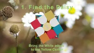 Find the Daisy - Animated Rubik's Speed cube - Beginner step to CFOP