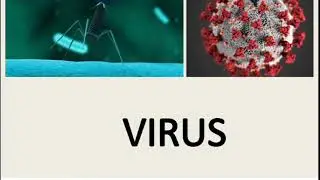 Microbiology of VIRUS Part 1: Properties, Morphology, Symmetry, Bacteriophages, Classification
