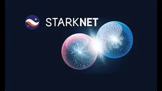 A Deep Dive Into The Starknet Ecosystem