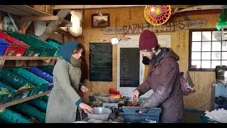 Moy Hill CSA Farm