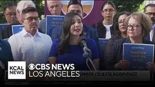 Lawmakers and immigration rights activists urge Gov. Newsom to sign parental rights' bill