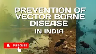 Prevention of vector borne diseases @scariva 