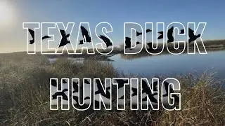 Texas Duck Hunting | A Morning on the Marsh 🦆
