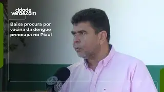 Baixa procura por vacina da dengue preocupa no Piau&iacute;