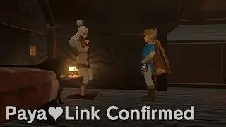 Paya's Diary and Birthmark (Zelda Breath of the Wild)