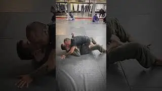 FLAIR 411 Entry to Cloverleaf #shorts #bjj