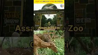 Top 5 Largest Zoo In India #animals
