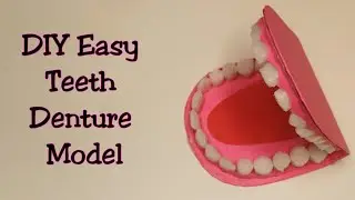 How to Make 3D Teeth Denture Model/ Easy Way to Make Types of Teeth 3d Model