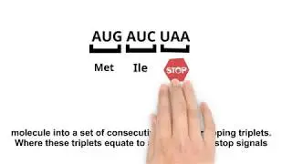 Video 2: Reading Frames and Six Frame Translation