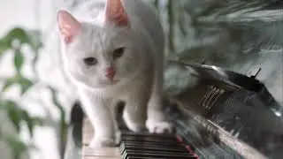 Sober Curiosity