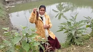 আজ নতুন আলু দিয়ে মাংসের তরকারি সাথে গাছের বড় টাটকা বেগুন তুলে এনে ভাজি করলাম।Village Vloger Nopur.