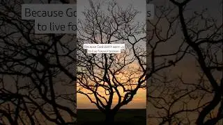 Genesis 3 explained like never before #genesis #scripture #gardenofeden #jesussaves  #jesusisking