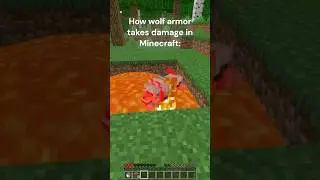 How wolf armor takes damage in Minecraft: