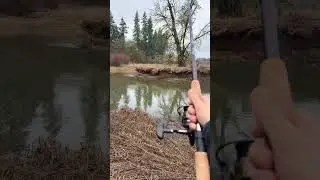 Steelhead fishing , secret ￼tip to land more fish  #fishing #pnw #fish #steelhead