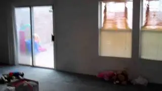 VID00065