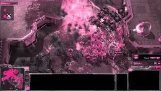 qYc intro