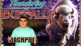 Thundering Buffalo Slot HANDPAY JACKPOT - Playing High Limit Slots In Las Vegas