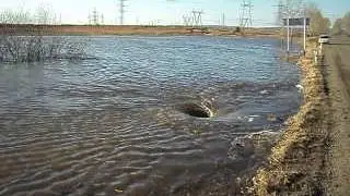 MOV01298