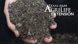 Mulch vs Compost
