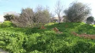 Terreno Para Constru&ccedil;&atilde;o no Centro de Almancil.
