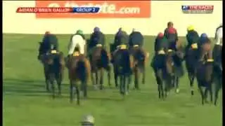 Ballydoyle gallops (part two)