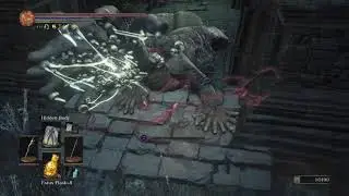 DARK SOULS&trade; III: assassin vs 2nd monstrosity of sin in profaned capital
