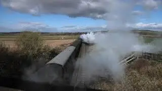 Tornado Steam Train [4K/UHD]