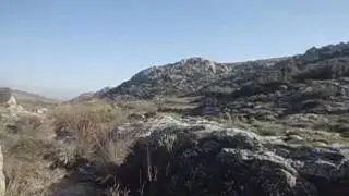 الحياة البرية في بعمرة  منابع نهر الساروت مناظرالطبيعة الخلابة #مباشر